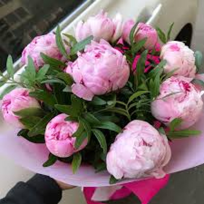 Пион древовидный в Аксае