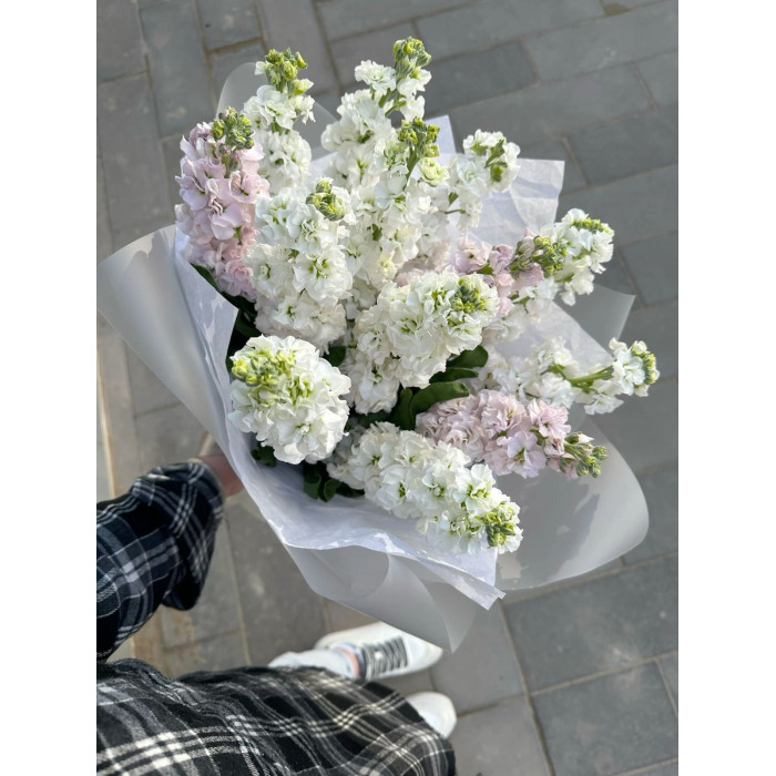 Маттиола в Аксае