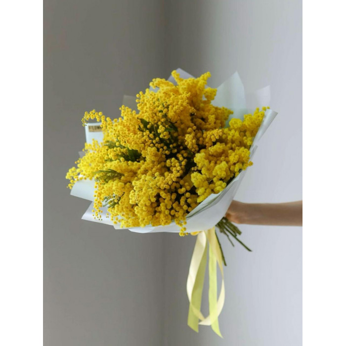 Мимоза в Аксае