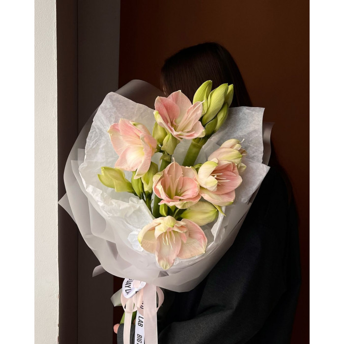 Амариллис в Аксае