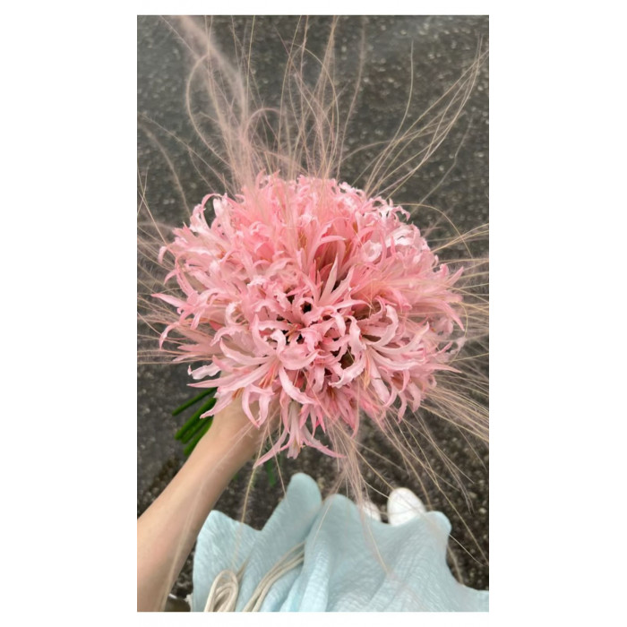 Нерине в Аксае