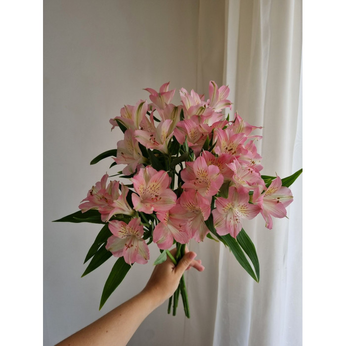 Альпиния в Аксае