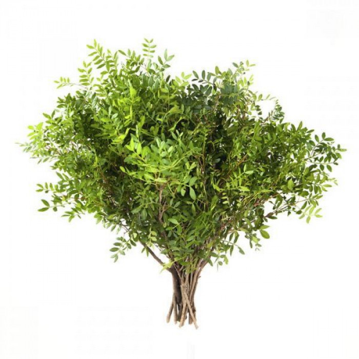 Писташ в Аксае