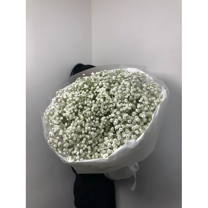 Гипсофила классическая в Аксае