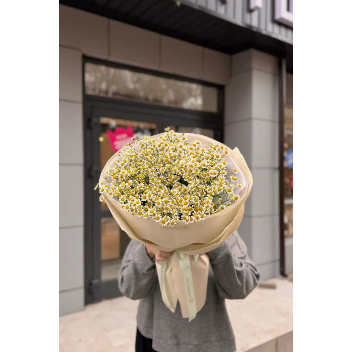 Танацетум в Аксае