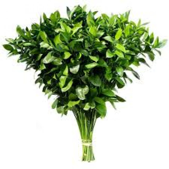 Рускус в Аксае